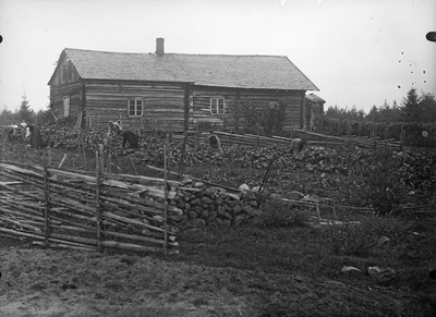 Appelqvist 20.9.1909.