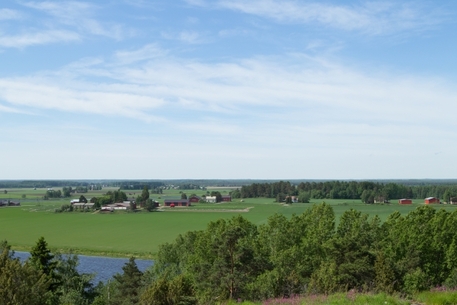 Ripovuori