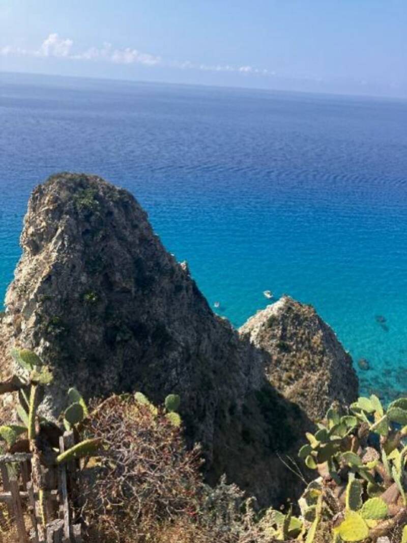 Tropea merimaisema