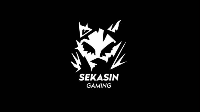 Maski, sekasin Gaming