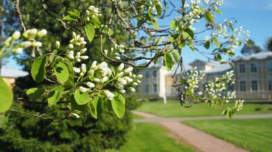 West Finland College in Satakunta region, Finland.