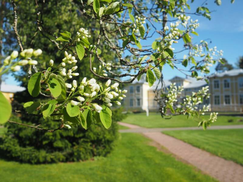 West Finland College in Satakunta region, Finland.