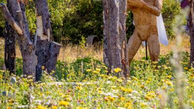 Kuvagalleria Kuva 2/5. Wooden figure and the flower field.